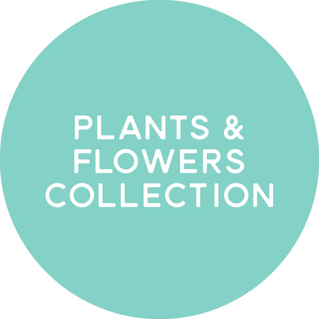 Plants & Flowers Collection