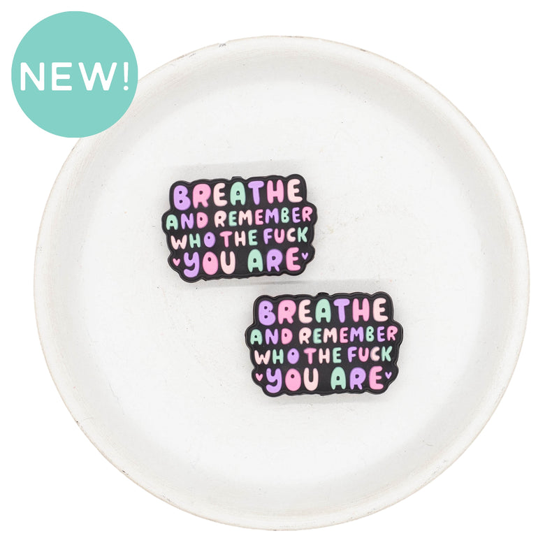 Breathe and Remember Who the Fuck You Are Silicone Focal Bead (Package of 2)