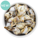 3-D Natural Marble Seashell Beads 27x21x16mm (Package of 5)
