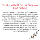 12 Days of Christmas Countdown Boxes (Choose Kits or Supplies) - Save $5 through Oct. 21st with code CHRISTMASBOX at Checkout