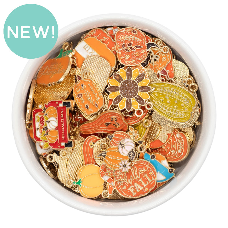 Random 10 Piece Fall & Thanksgiving Charm Grab Bag - Assortment of Styles & Sizes