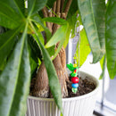 Hummingbird Garden Ornament Kit
