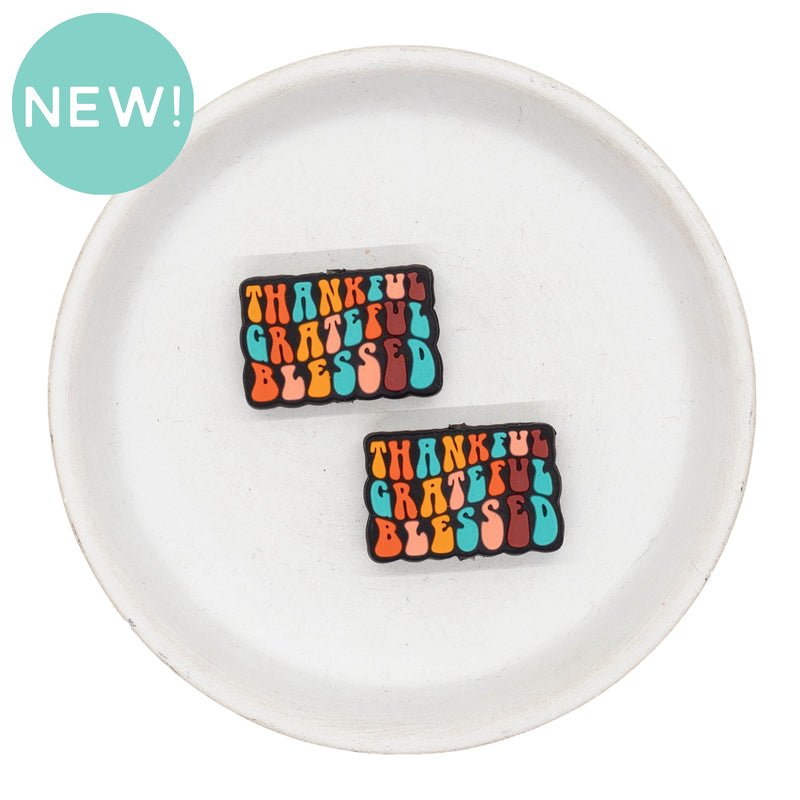 Multicolor Thankful Grateful Blessed Silicone Focal Bead 19x29mm (Package of 2)