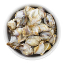 3-D Natural Marble Seashell Beads 27x21x16mm (Package of 5)