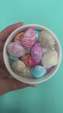 3-D Iridescent Marble Seashell Bead Assortment 30x25x18mm (Package of 5)