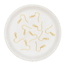 Hypoallergenic 18KG Plated Stainless Steel Gold Fish Hook Ear Wires (Package of 10)